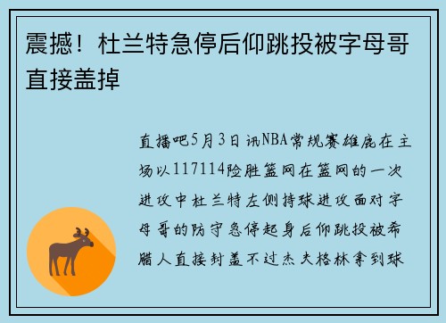 震撼！杜兰特急停后仰跳投被字母哥直接盖掉